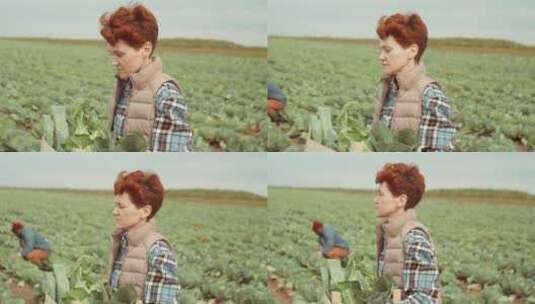 女人抱着一篮子蔬菜在农田里行走高清在线视频素材下载