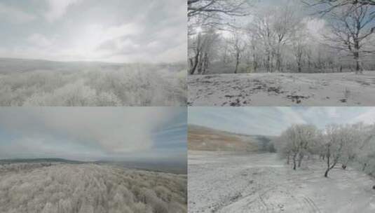 航拍雪原林场树林雾凇雪景高清在线视频素材下载