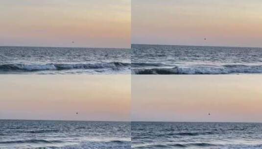 海边氛围感|海上飞鸟高清在线视频素材下载
