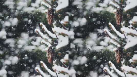 唯美冬季落雪小景高清在线视频素材下载