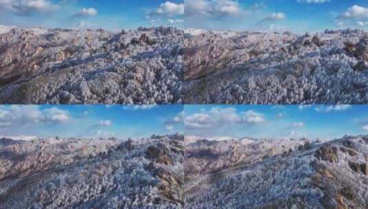 青岛崂山雪景崂山雾凇高清在线视频素材下载