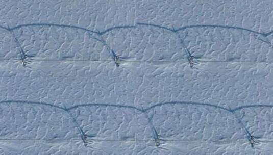 呼伦贝尔冬季雪景白雪覆盖的田野高清在线视频素材下载