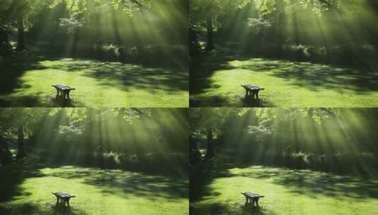 公园森林下的丁达尔光线景观高清在线视频素材下载
