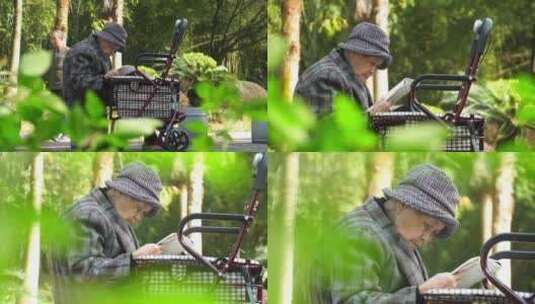 老人 退休生活 老人看书高清在线视频素材下载