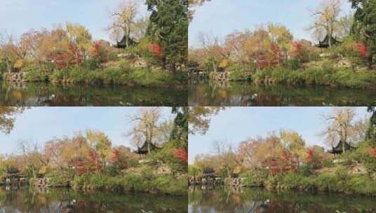 深秋苏州古典园林拙政园秋色美景高清在线视频素材下载