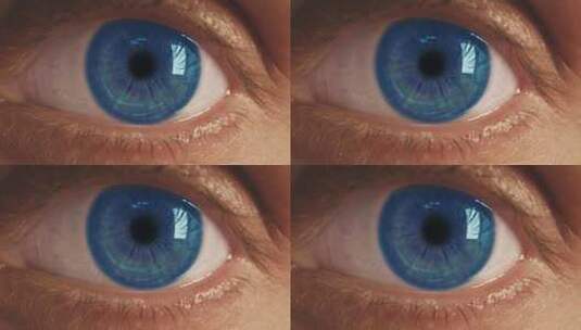 蓝眼是虹膜和瞳孔变宽和变细的极端特写高清在线视频素材下载