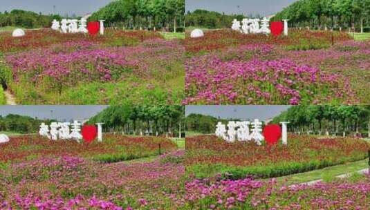 春天花草植被高清在线视频素材下载