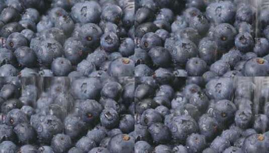 水果蓝莓特写静态展示高清在线视频素材下载