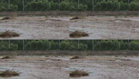 实拍暴雨后洪水 山洪  泥石流高清在线视频素材下载