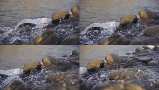 水 小溪 流动 河流 蜿蜒 清澈高清在线视频素材下载