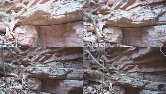 嶂石岩 岩石 景区 山高清在线视频素材下载