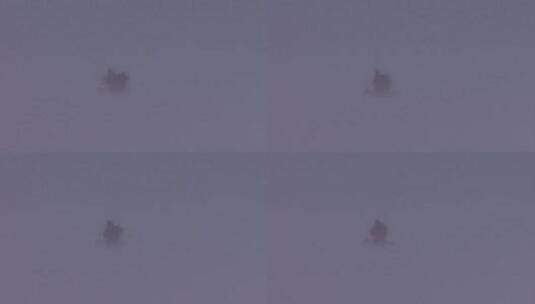 北极探险队在暴风雪中前行高清在线视频素材下载