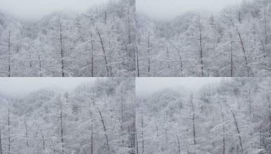 冬季雪景雾凇高清在线视频素材下载