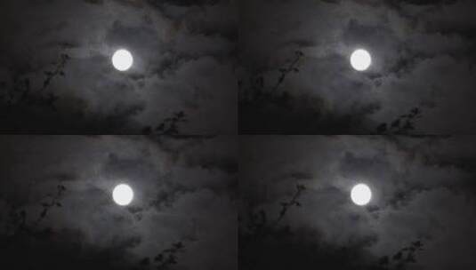 洁白的月亮【4k素材】高清在线视频素材下载