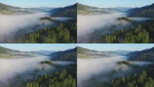 航拍清晨树林的雾高清在线视频素材下载