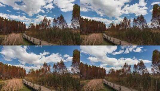 东大河湿地公园风光延时高清在线视频素材下载