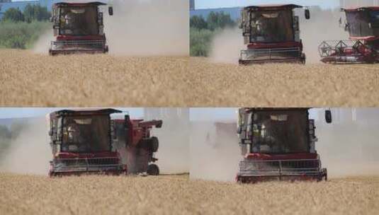 收麦子麦子收割机高清在线视频素材下载