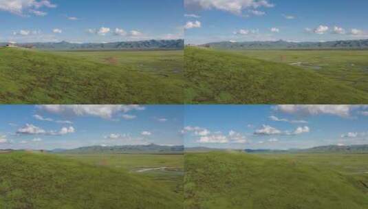 甘肃省甘南藏族自治州玛曲县阿万仓湿地航拍高清在线视频素材下载