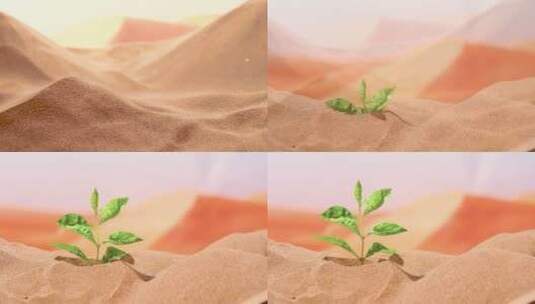 沙漠 植物生长高清在线视频素材下载
