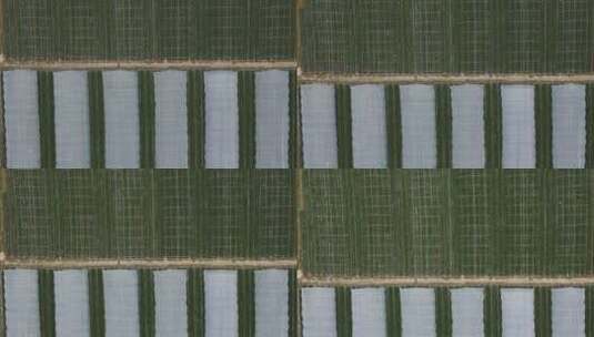现代农业农田航拍高清在线视频素材下载