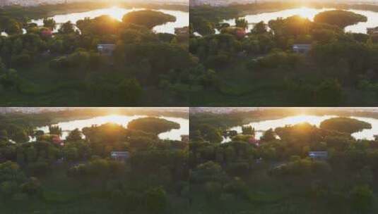 广州海珠湖日落逆光高清在线视频素材下载