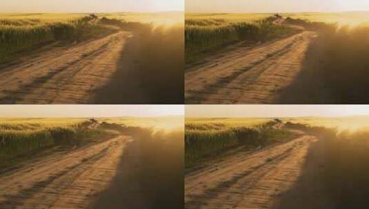 日落的田野景观高清在线视频素材下载
