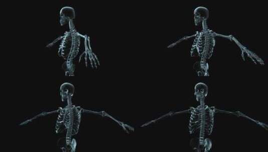 人类钢架结构旋转的3D医学动画高清在线视频素材下载