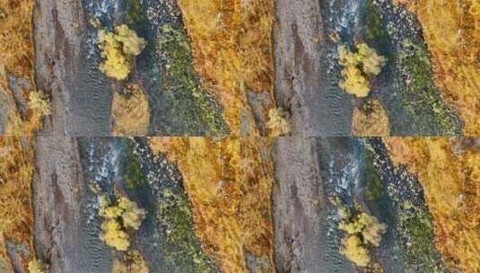 秋天美丽的河流（阿尔山秋色）高清在线视频素材下载