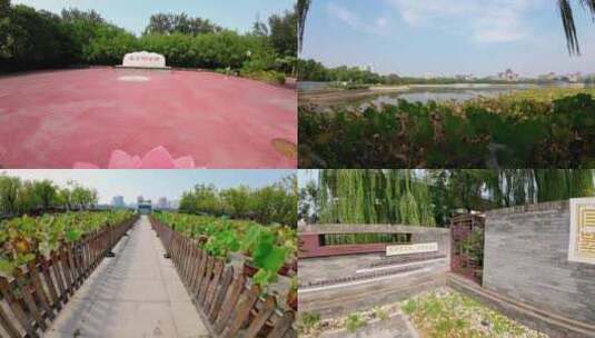 北京莲花池公园高清在线视频素材下载