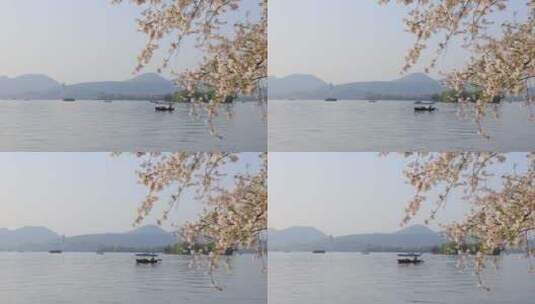 杭州春天清晨西湖白堤桃花樱花游船唯美空镜高清在线视频素材下载