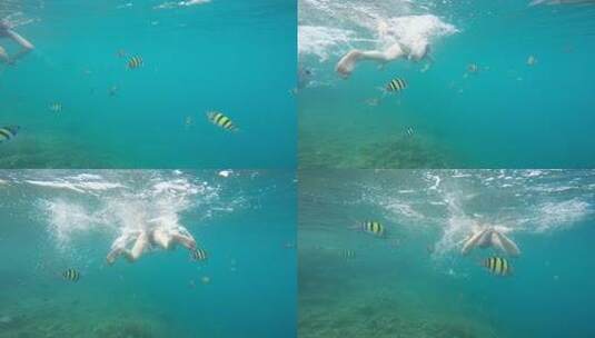 印尼大海海岛鱼群航拍709高清在线视频素材下载