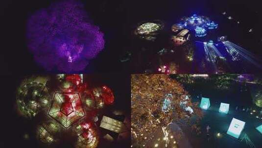 广州华南植物园唯美树木灯光夜景航拍4K视频高清在线视频素材下载