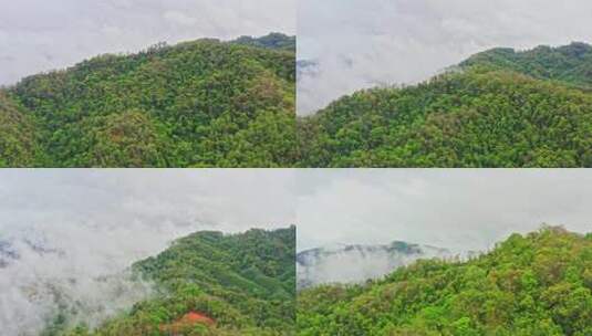 雨后山区森林云雾高清在线视频素材下载