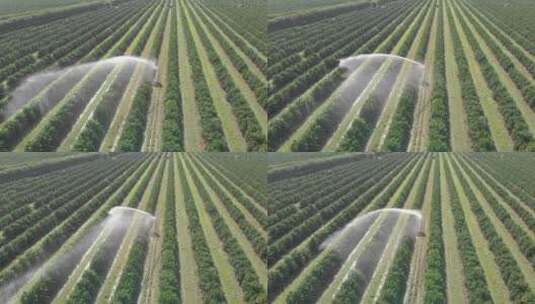草地农业灌溉系统新农村乡村振兴机械化作业高清在线视频素材下载