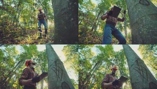 男性伐木工走过浓密的树干高清在线视频素材下载