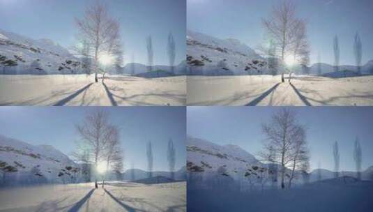 冬季雪地上阳光照射投下树的影子高清在线视频素材下载