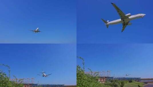 山东航空  飞机 航班 飞机降落 厦门高清在线视频素材下载