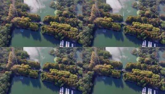 航拍杭州西湖杨公堤秋日美景高清在线视频素材下载