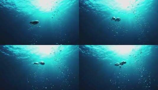 水底海底气泡高清在线视频素材下载