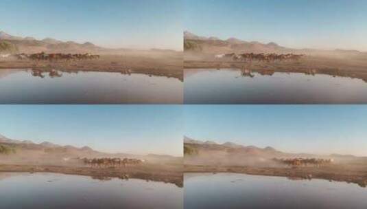 草原上奔腾的马群 草原湖泊高清在线视频素材下载