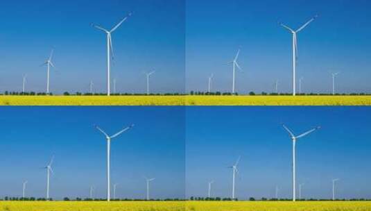开花Colza田中带有风力涡轮机的农村景高清在线视频素材下载