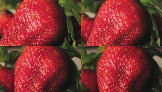草莓水果新鲜草莓高清在线视频素材下载