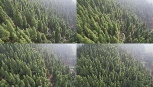 大山森林航拍高清在线视频素材下载