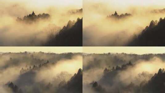 清晨山间迷雾山林云雾气浓雾清新空气高清在线视频素材下载