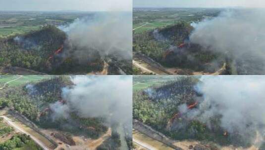 森林火灾航拍农村树林着火乡村山坡树林起火高清在线视频素材下载