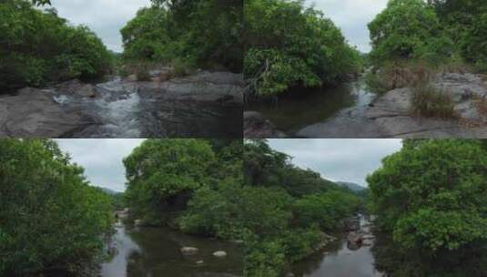 4K超清雨林保护区航拍高清在线视频素材下载