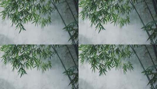 意境空镜竹子写意竹子高清在线视频素材下载