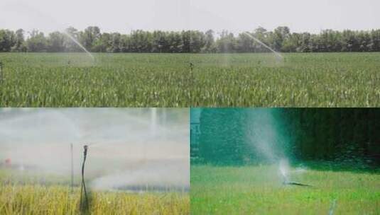 农业灌溉高清在线视频素材下载