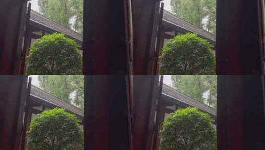 庭院四合院下雨绿化高清在线视频素材下载