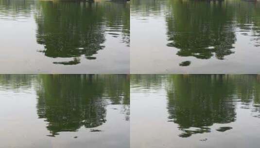 清澈的湖边倒影高清在线视频素材下载